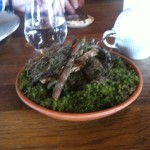 NOMA